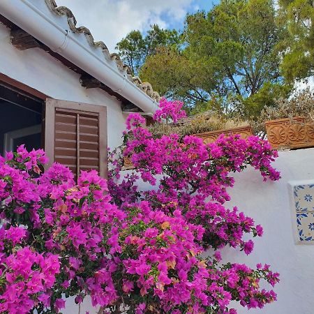 Villa Tonnara San Vito Lo Capo Exterior photo